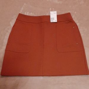 Rust H&M Skirt